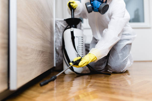 Best Termite Control Services  in Weiser, ID