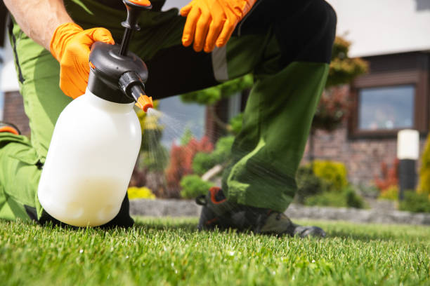 Best Best Pest Control Companies  in Weiser, ID