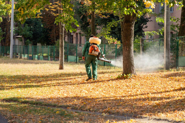 Best Pest Control for Restaurants  in Weiser, ID