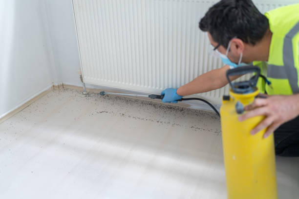 Trusted Weiser, ID Pest Control Experts