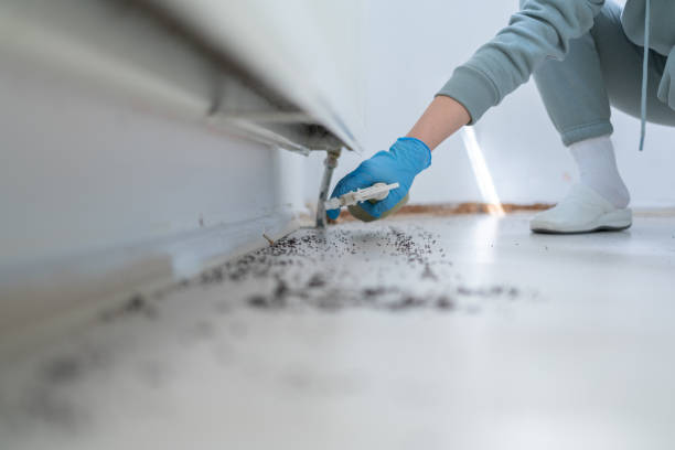 Best Best Pest Control Companies  in Weiser, ID