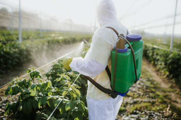 Best Wasp Removal Services  in Weiser, ID